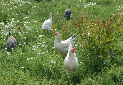 10550164_10202764756468499_8277963228896816395_o