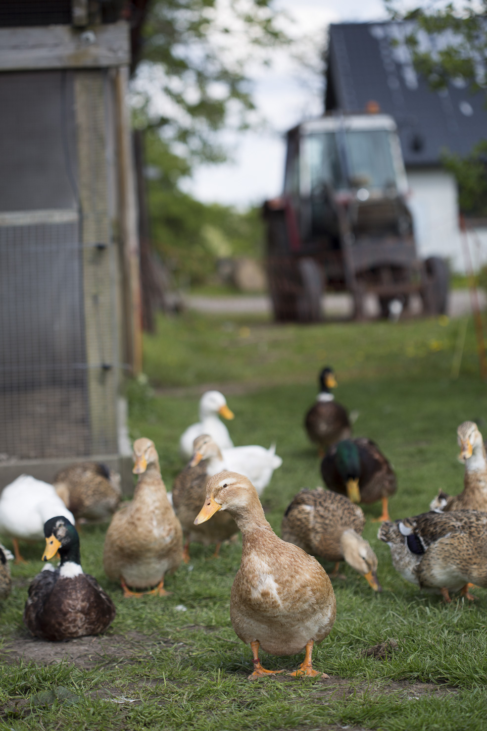 ©Bianca_Brandon-Cox-4J7A8556