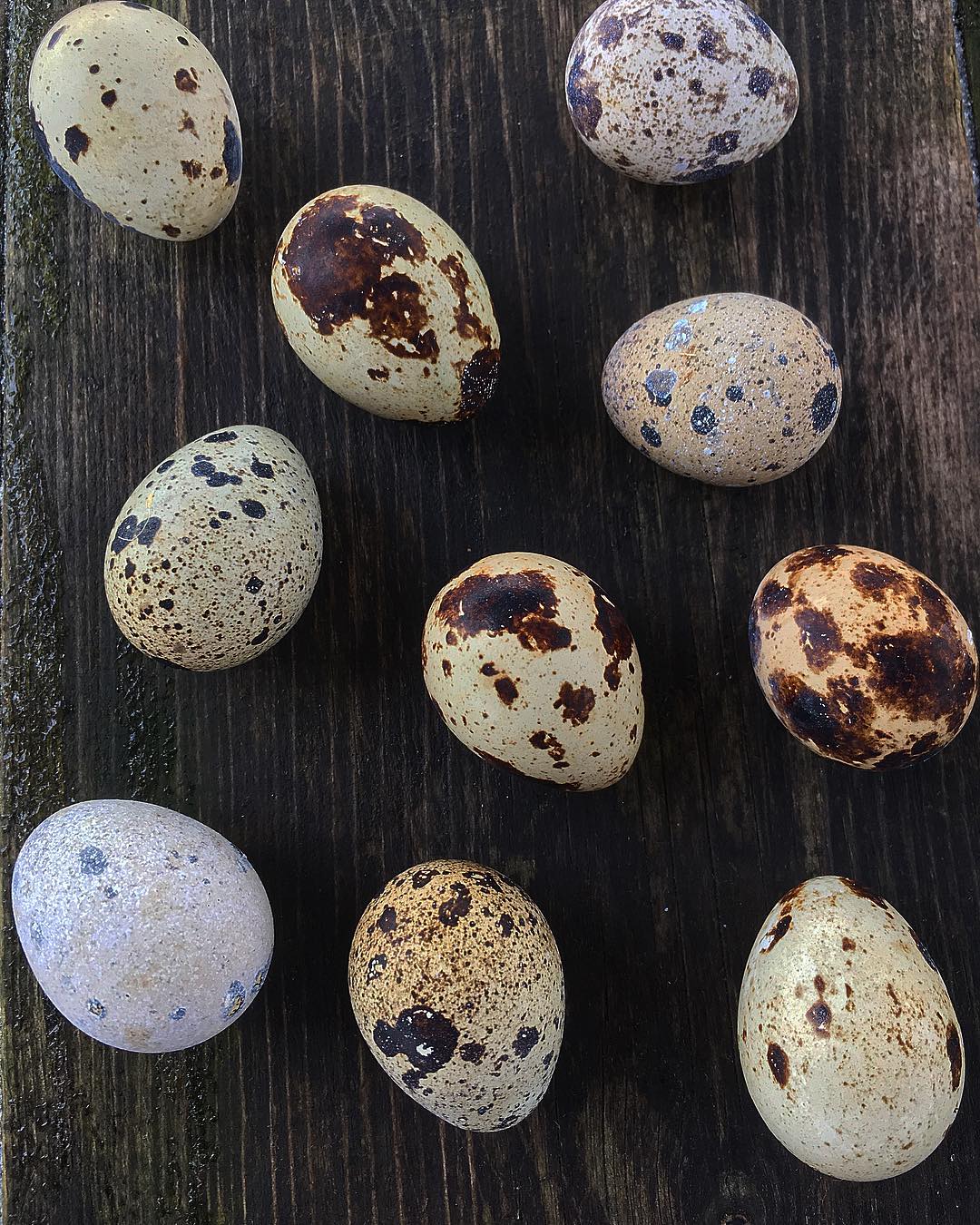 53630613_1219844984835586_2045725779584614400_o