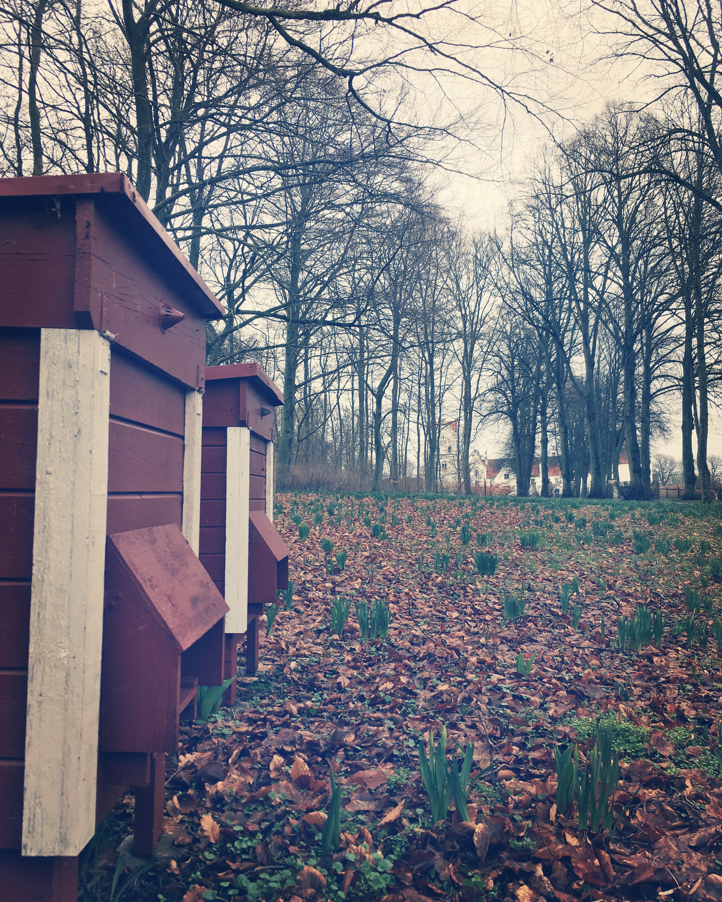 A41B29FF-4F46-48CD-8FAF-757D986C4A88