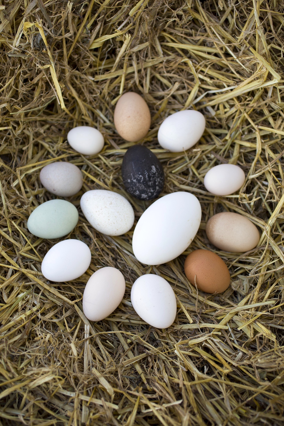 ©Bianca_Brandon-Cox-4J7A9089